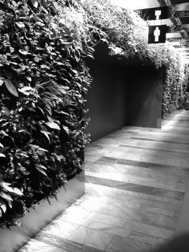 20100209105431.jpg