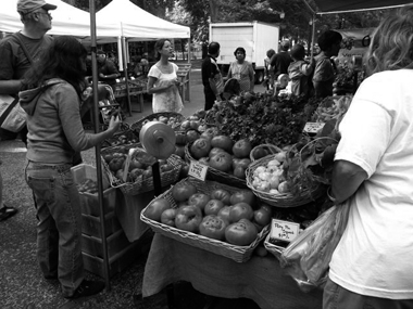 watch20080810_1.jpg
