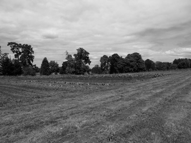 watch20080810_5.jpg